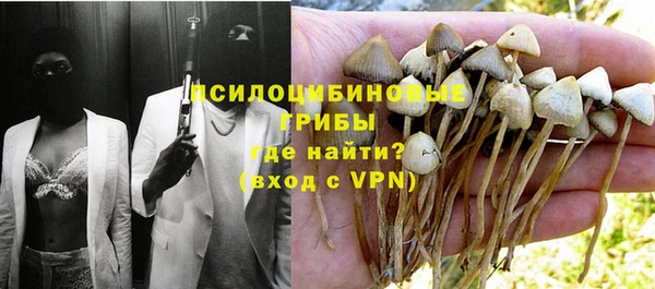 дмт Армянск