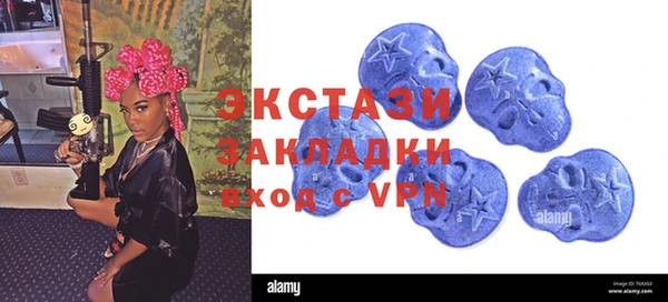 хмурый Арсеньев