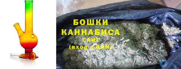 хмурый Арсеньев
