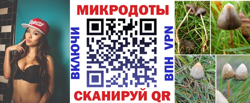 mega ссылки  Томмот  Галлюциногенные грибы Magic Shrooms 